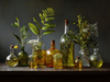 Glass jars of oils and distillation of plants