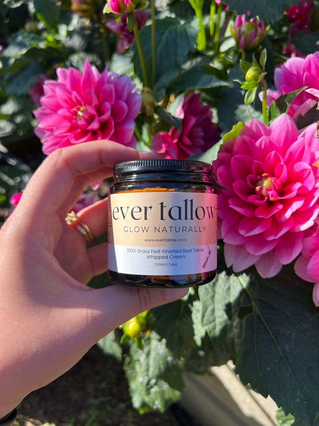 Bare_whipped_tallow_in_the_Garden  in front of dahlias