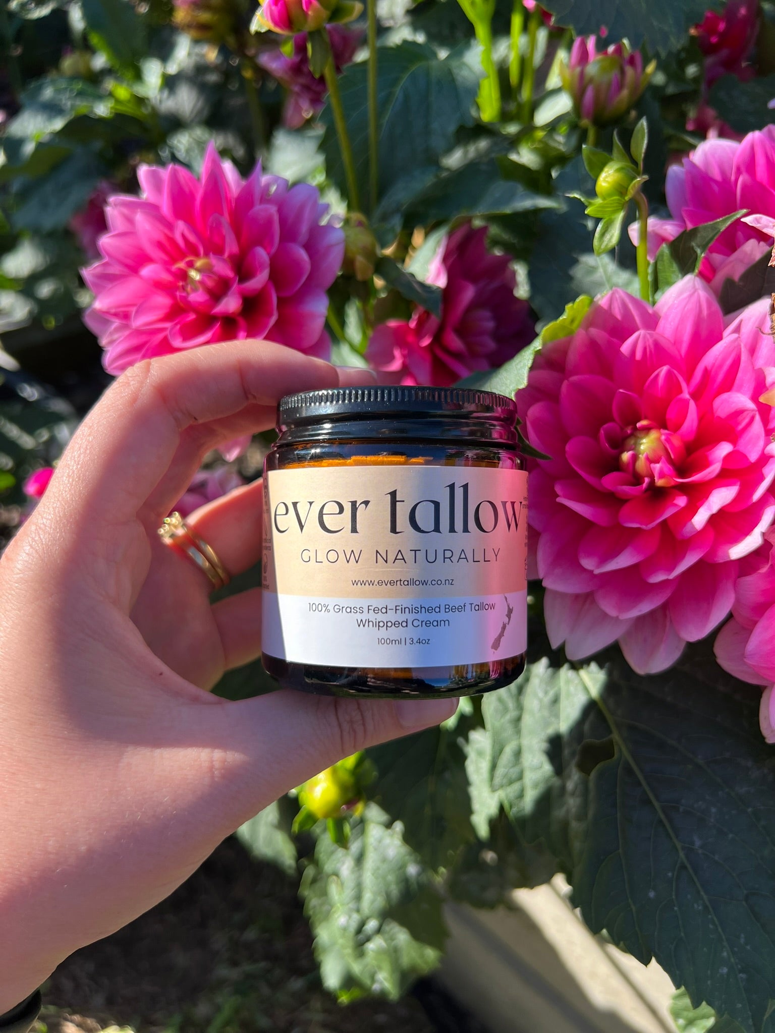 Bare_whipped_tallow_in_the_Garden  in front of dahlias