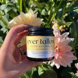 Beef_Tallow_Calendula_and_Rose_infused_Olive_Oil in the garden in front of dahlias