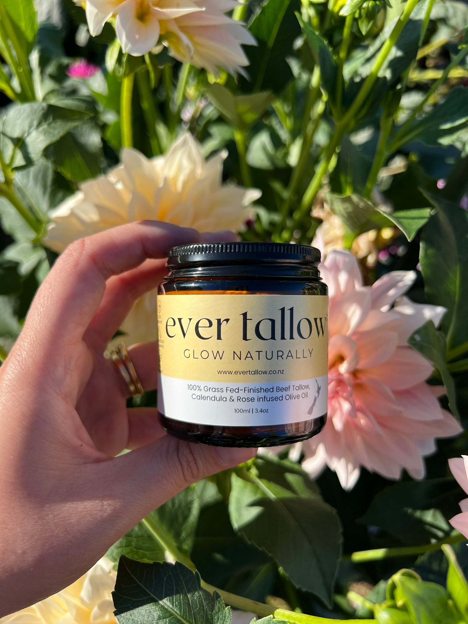 Beef_Tallow_Calendula_and_Rose_infused_Olive_Oil in the garden in front of dahlias