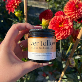 Beef Tallow infused with Vanilla Beans in front of red dahlias in the garden.