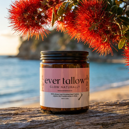 Beef Tallow with Jojoba Oil, Frankincense, and Rose under sunlit pōhutukawa blooms glowing red in golden hour light.