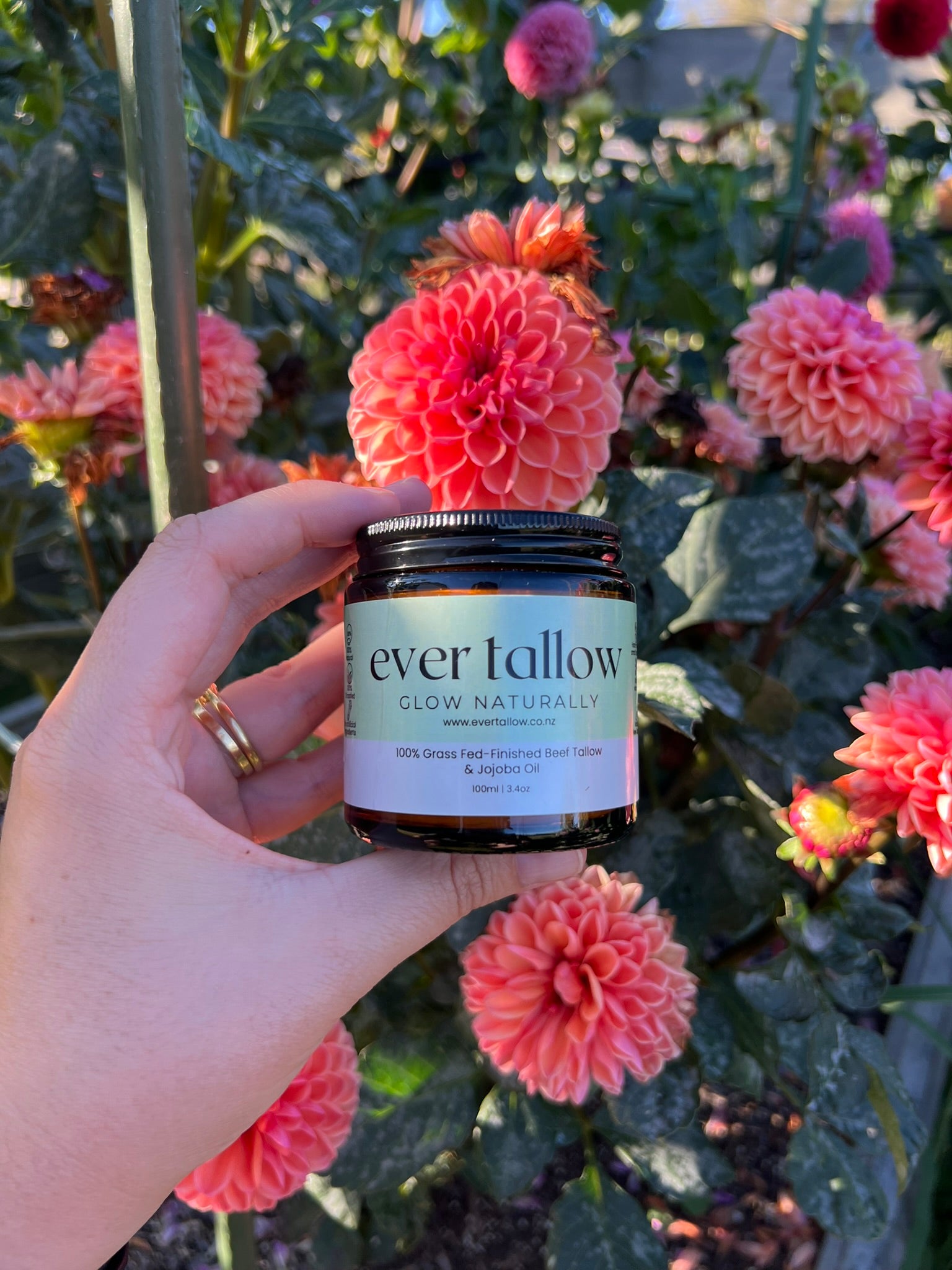 Jojoba_whipped_tallow_in_the_Garden  in front of dahlias