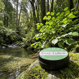 Kawakawa balm in a lush New Zealand forest beside a clear shallow stream.