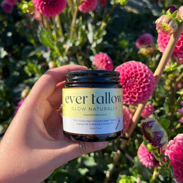Manuka Honey Tallow in the garden in front of dahlias