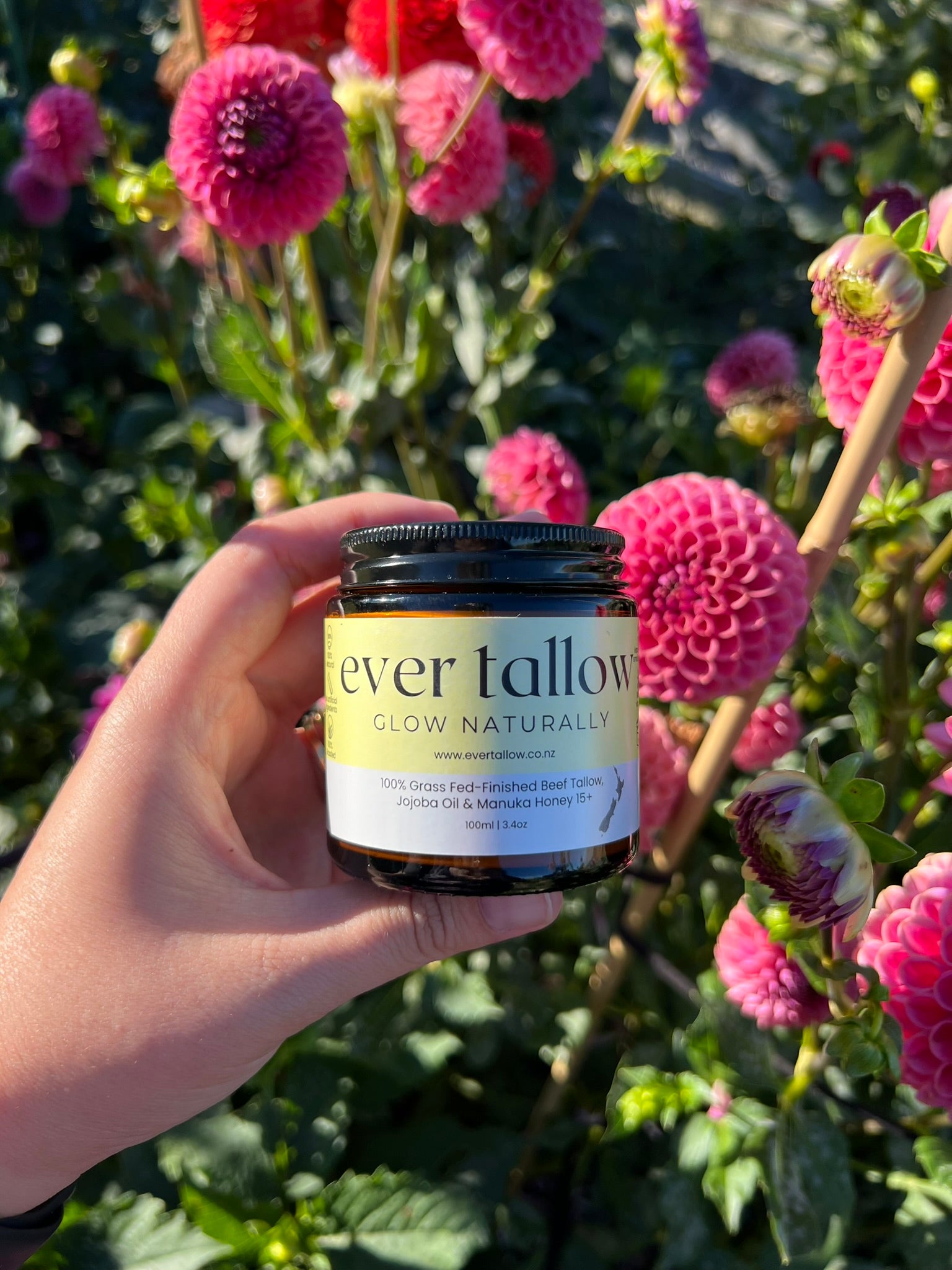 Manuka Honey Tallow in the garden in front of dahlias